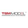 TSM Model